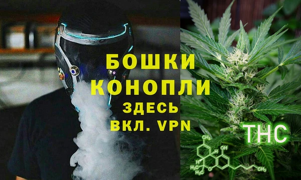 гидра Алексеевка