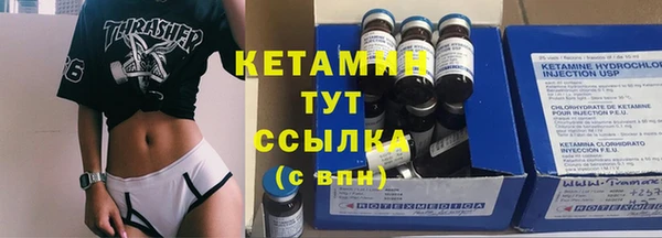гашик Алексин