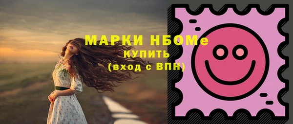 гашик Алексин