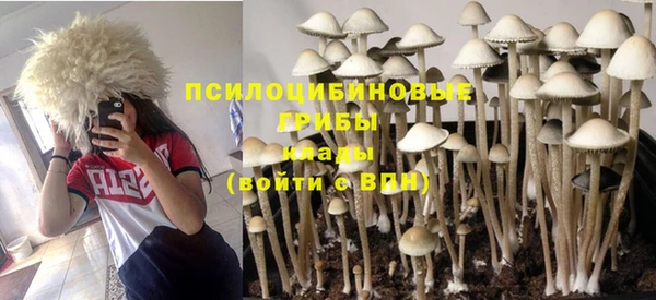 гидра Алексеевка